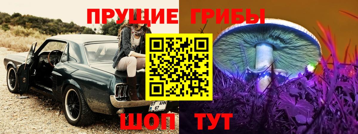 Галлюциногенные грибы Psilocybe  Вход с VPN  Верхняя Пышма 